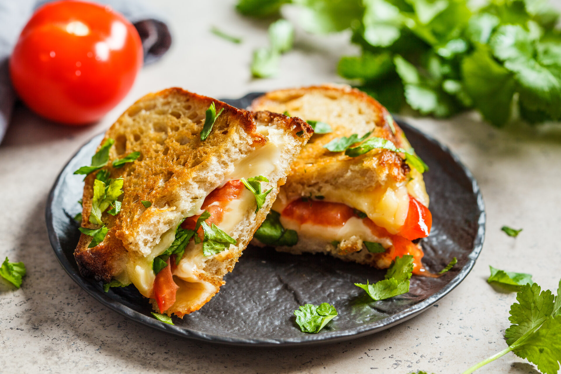 herb grilled cheese