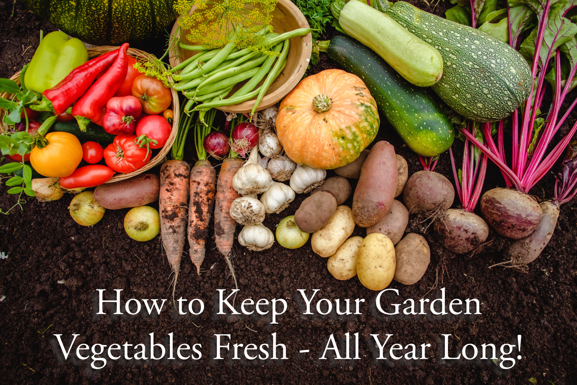 Keep Your Garden Vegetables Fresh All Year Long