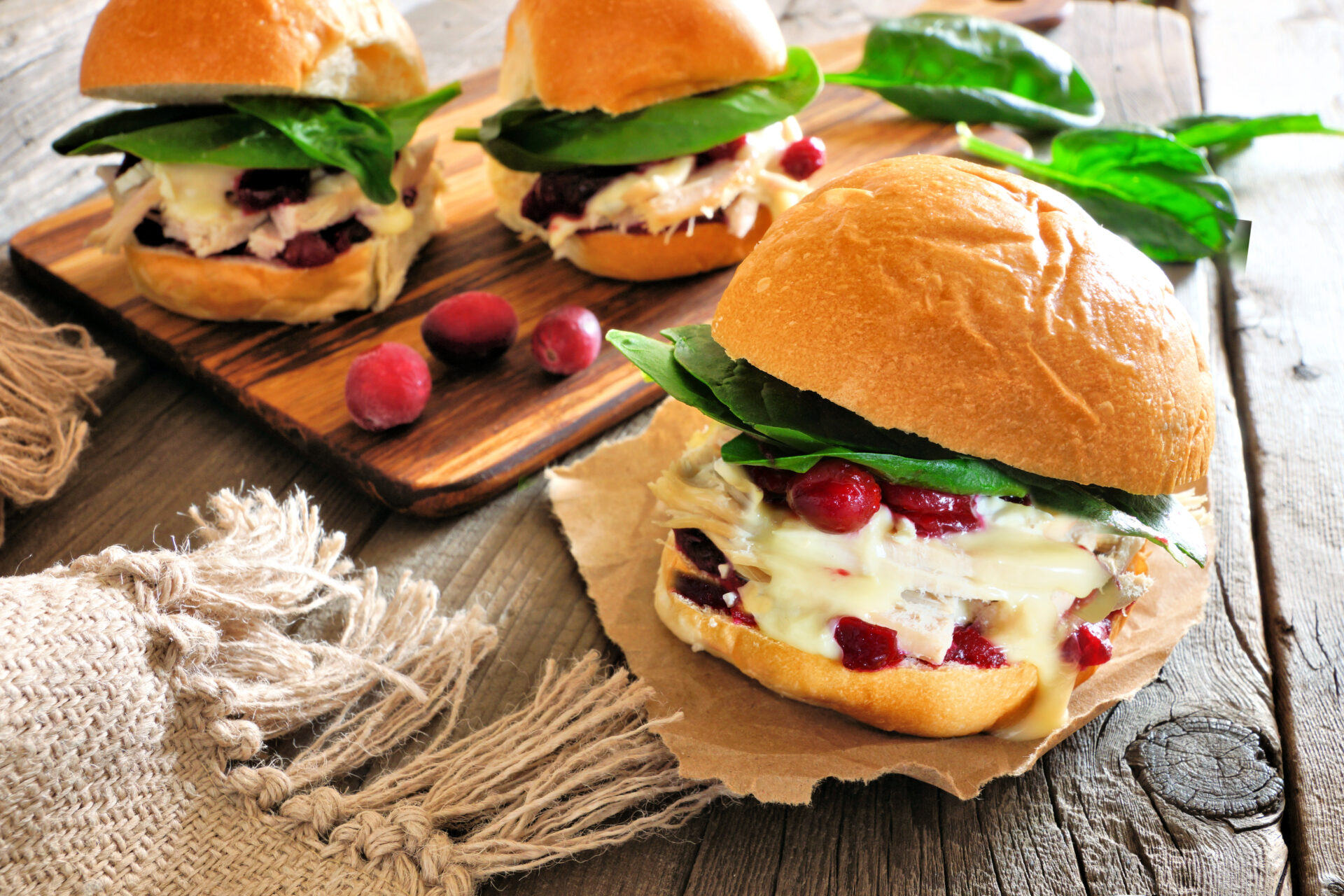 turkey slider